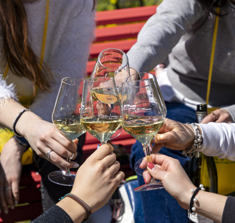Di maso in maso…di vino in vino: itinerario enogastronomico sulle Colline Avisiane tra Pressano, Sorni e Giovo.