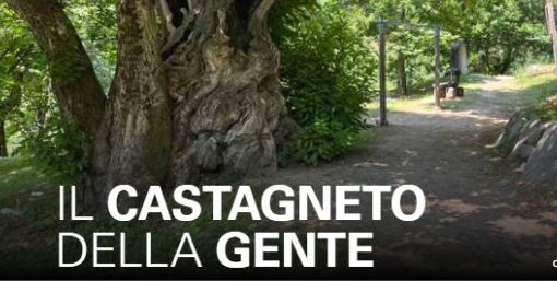 Castagneto PL Carisolo