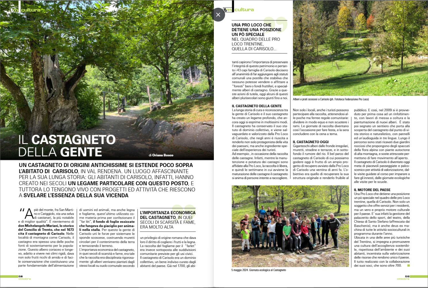 Articolo castagneto Carisolo