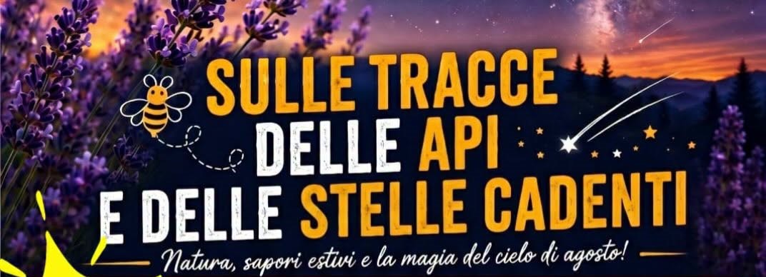 Sulle tracce delle api e delle stelle cadenti